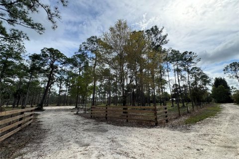 Купить земельный участок в Клуистон, Флорида № 981343 - фото 28