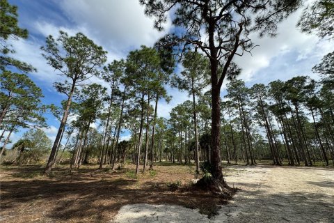 Купить земельный участок в Клуистон, Флорида № 981343 - фото 21
