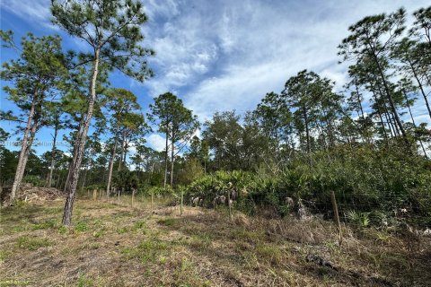 Купить земельный участок в Клуистон, Флорида № 981343 - фото 27