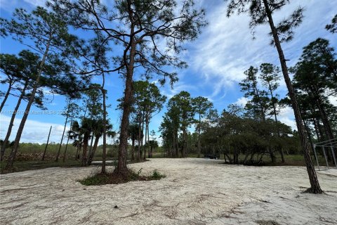 Купить земельный участок в Клуистон, Флорида № 981343 - фото 16