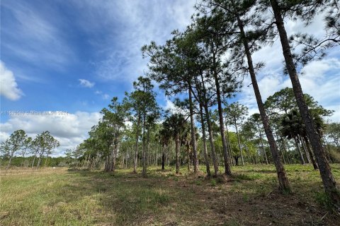 Купить земельный участок в Клуистон, Флорида № 981343 - фото 23