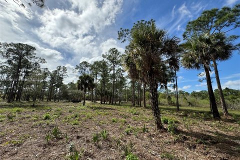 Купить земельный участок в Клуистон, Флорида № 981343 - фото 25