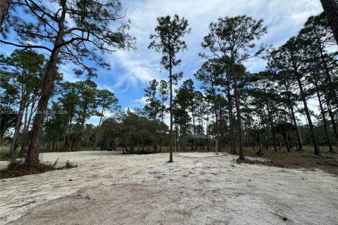 Купить земельный участок в Клуистон, Флорида № 981343 - фото 19