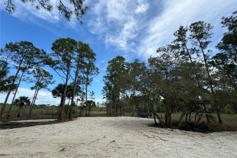 Купить земельный участок в Клуистон, Флорида № 981343 - фото 18