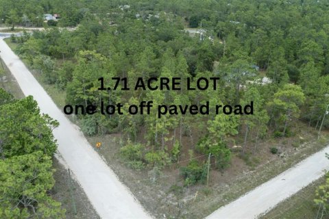 Terreno en venta en Morriston, Florida № 1432664 - foto 1