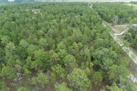 Terreno en venta en Williston, Florida № 1432663 - foto 4