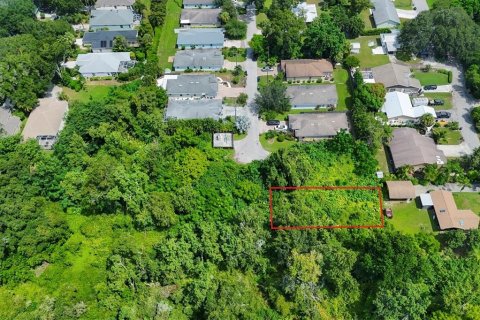 Terreno en venta en Sarasota, Florida № 1334298 - foto 3