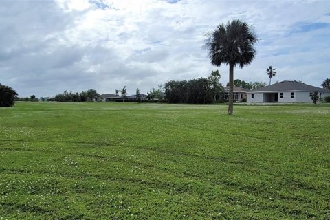 Terrain à vendre à Punta Gorda, Floride № 225859 - photo 6