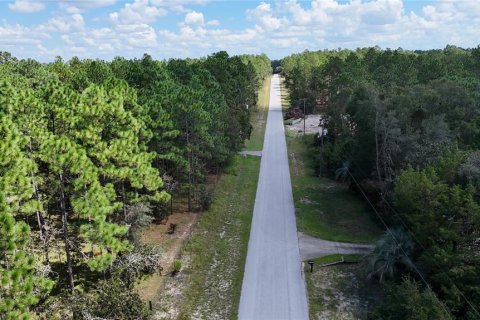 Terreno en venta en Dunnellon, Florida № 1399284 - foto 4