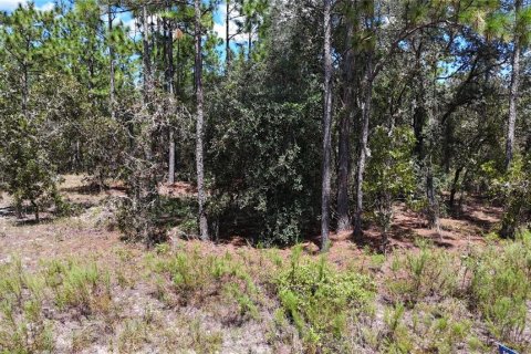 Terreno en venta en Dunnellon, Florida № 1399284 - foto 1