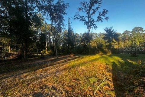 Terreno en venta en Morriston, Florida № 1417022 - foto 3