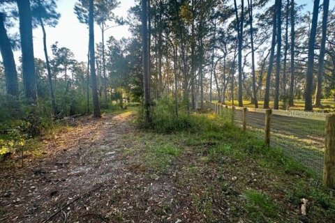 Terreno en venta en Morriston, Florida № 1417022 - foto 5