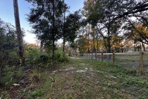 Terreno en venta en Morriston, Florida № 1417022 - foto 11