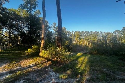 Terreno en venta en Morriston, Florida № 1417022 - foto 4