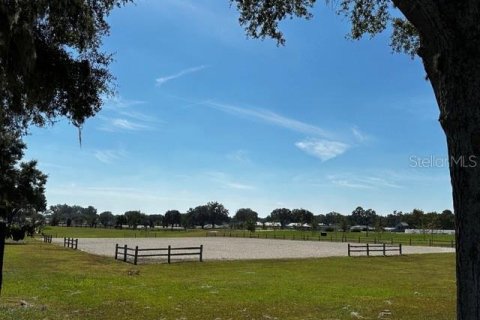 Terreno en venta en Morriston, Florida № 1417022 - foto 20