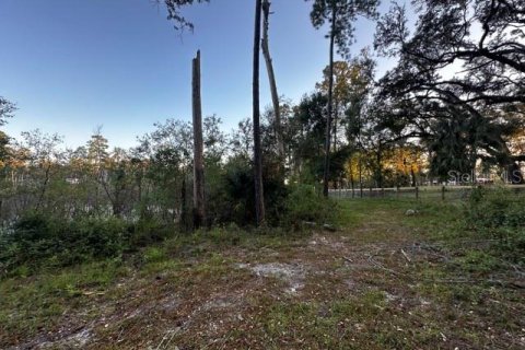 Terreno en venta en Morriston, Florida № 1417022 - foto 10