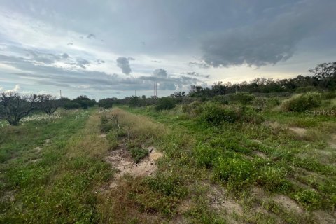 Купить земельный участок в Себринг, Флорида № 692242 - фото 6