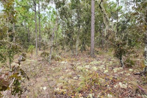 Terrain à vendre à Dunnellon, Floride № 1382755 - photo 1