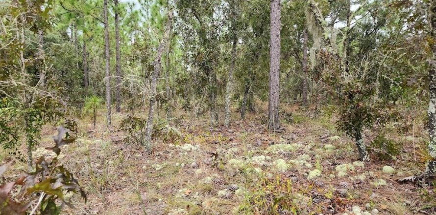 Land in Dunnellon, Florida № 1382755