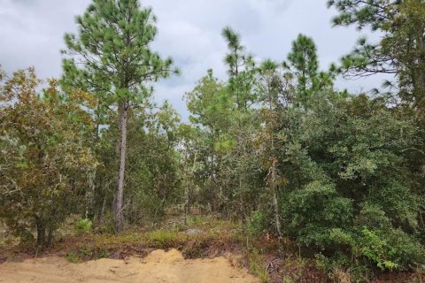 Terrain à vendre à Dunnellon, Floride № 1382755 - photo 2