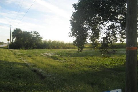 Terrain à vendre à Okeechobee, Floride № 226758 - photo 6
