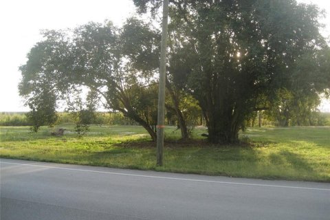 Land in Okeechobee, Florida № 226758 - photo 1