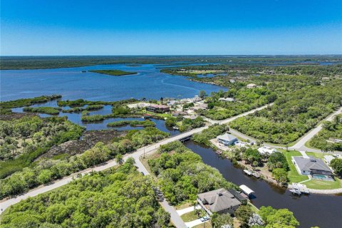 Land in Port Charlotte, Florida № 1316764 - photo 7