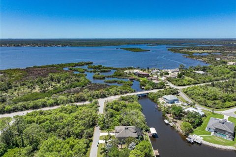 Land in Port Charlotte, Florida № 1316764 - photo 9