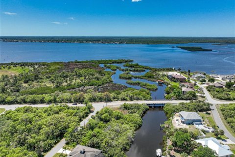 Land in Port Charlotte, Florida № 1316764 - photo 19