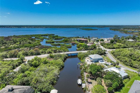 Land in Port Charlotte, Florida № 1316764 - photo 22