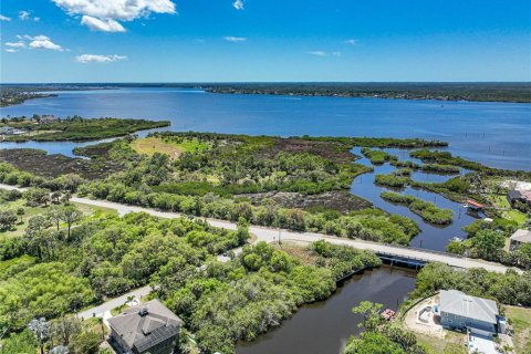 Land in Port Charlotte, Florida № 1316764 - photo 20