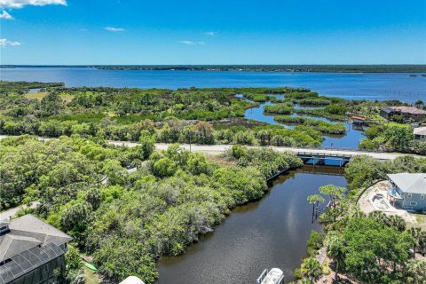 Land in Port Charlotte, Florida № 1316764 - photo 21