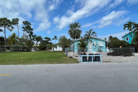 Villa ou maison à vendre à Big Pine Key, Floride: 2 chambres, 71.35 m2 № 1096866 - photo 12