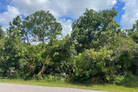 Купить земельный участок в Палм-Кост, Флорида № 695539 - фото 1