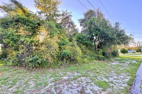 Land in Deltona, Florida № 1243961 - photo 6