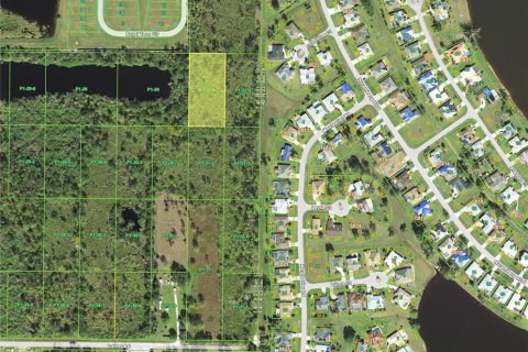 Land in Port Charlotte, Florida № 1243960 - photo 3