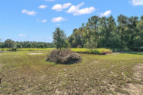 Terreno en venta en Leesburg, Florida № 1402330 - foto 20