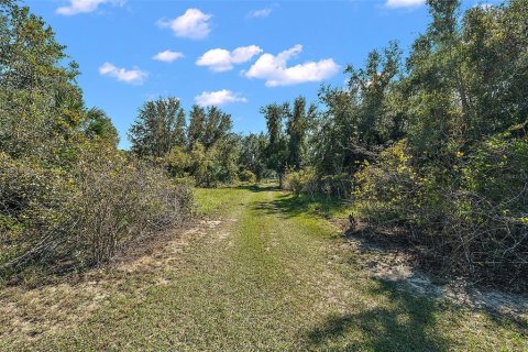 Terreno en venta en Leesburg, Florida № 1402330 - foto 18