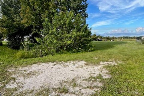 Land in Okeechobee, Florida № 1386991 - photo 3