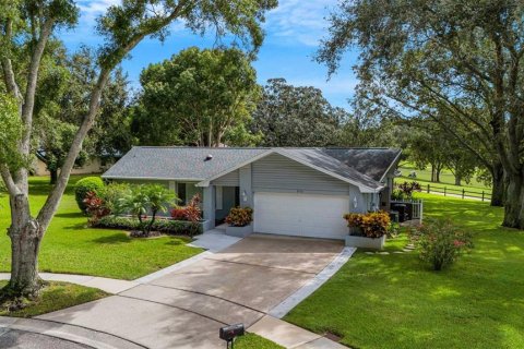 Villa ou maison à vendre à Palm Harbor, Floride: 2 chambres, 160.72 m2 № 1353073 - photo 3