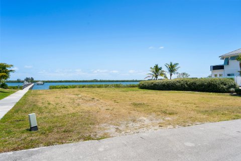 Land in Vero Beach, Florida № 1141395 - photo 3