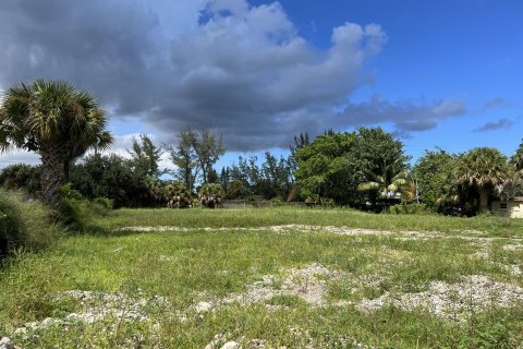 Terrain à vendre à West Palm Beach, Floride № 115765 - photo 4