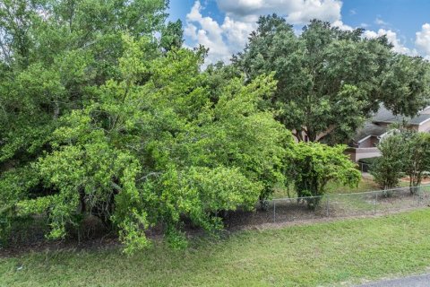 Land in Spring Hill, Florida № 1300244 - photo 7