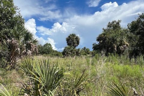 Land in Punta Gorda, Florida № 1309098 - photo 7