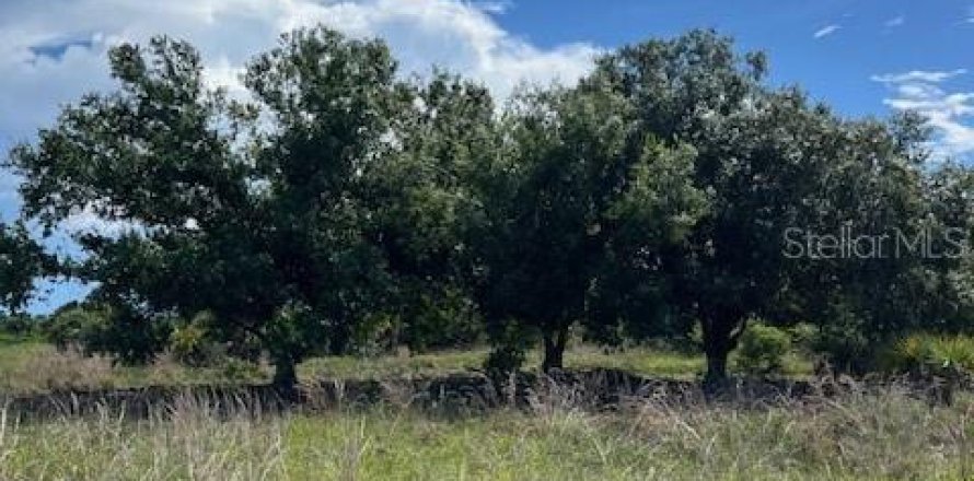 Terreno en Punta Gorda, Florida № 1309098