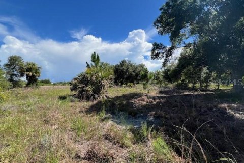 Terrain à vendre à Punta Gorda, Floride № 1309098 - photo 5