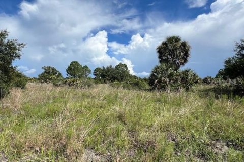 Terrain à vendre à Punta Gorda, Floride № 1309098 - photo 6