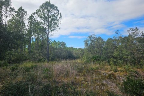 Terreno en venta en Cedar Key, Florida № 1404896 - foto 7