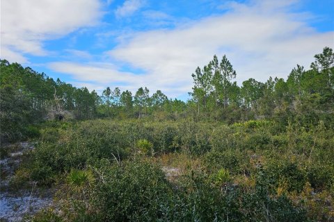 Terreno en venta en Cedar Key, Florida № 1404896 - foto 11