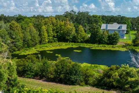 Land in Largo, Florida № 1337949 - photo 4